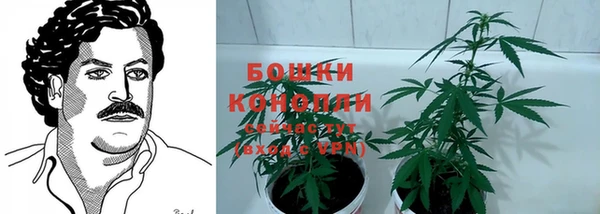 Альфа ПВП Абаза