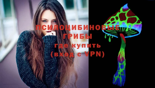 Альфа ПВП Абаза