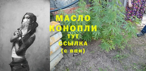молекула духа Семёнов