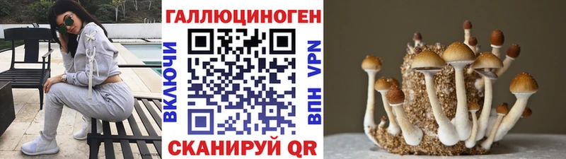 Псилоцибиновые грибы мухоморы Котлас