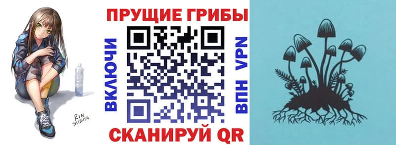 Галлюциногенные грибы MAGIC MUSHROOMS  Котлас 