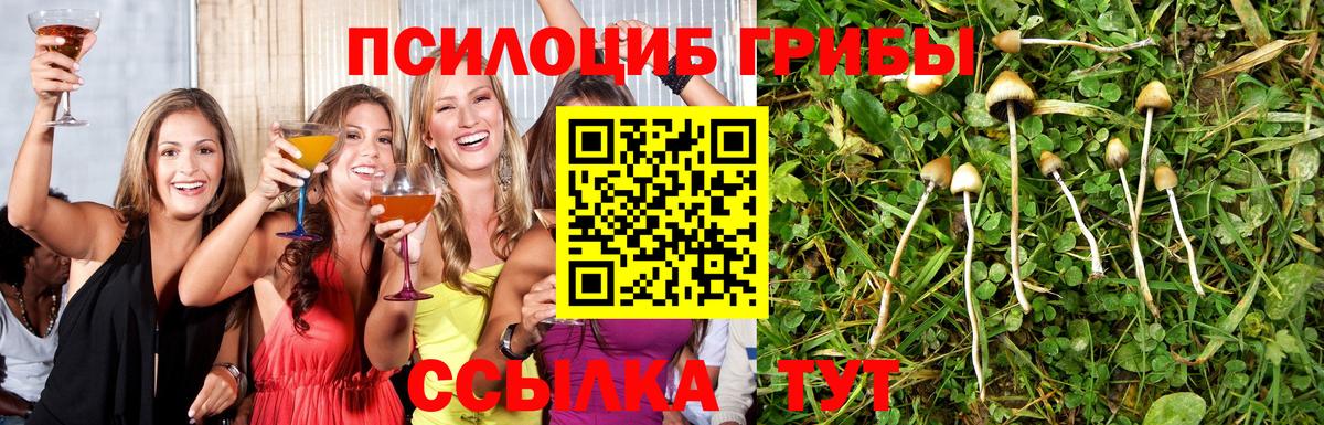 Псилоцибиновые грибы GOLDEN TEACHER Котлас