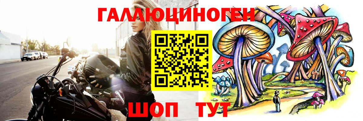 Котлас  Псилоцибиновые грибы мицелий  что такое   Вход с VPN 