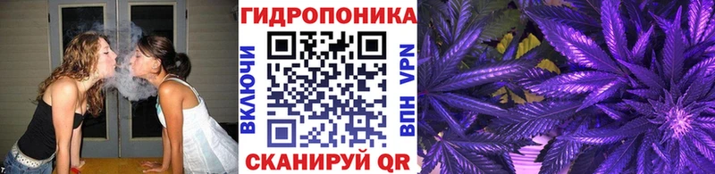 Бошки марихуана AK-47  купить  сайты  Котлас 