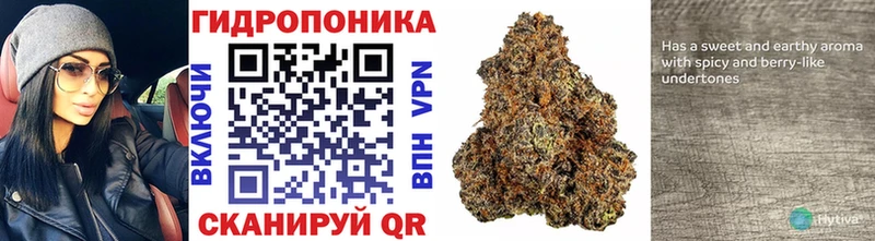 Каннабис VHQ Котлас